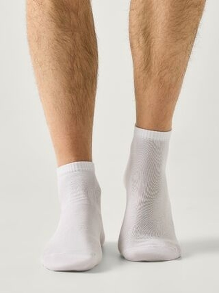 24С-163СП Носки мужские Conte