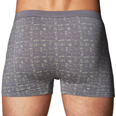 8397 Трусы-шорты мужские РОДЖЕРС