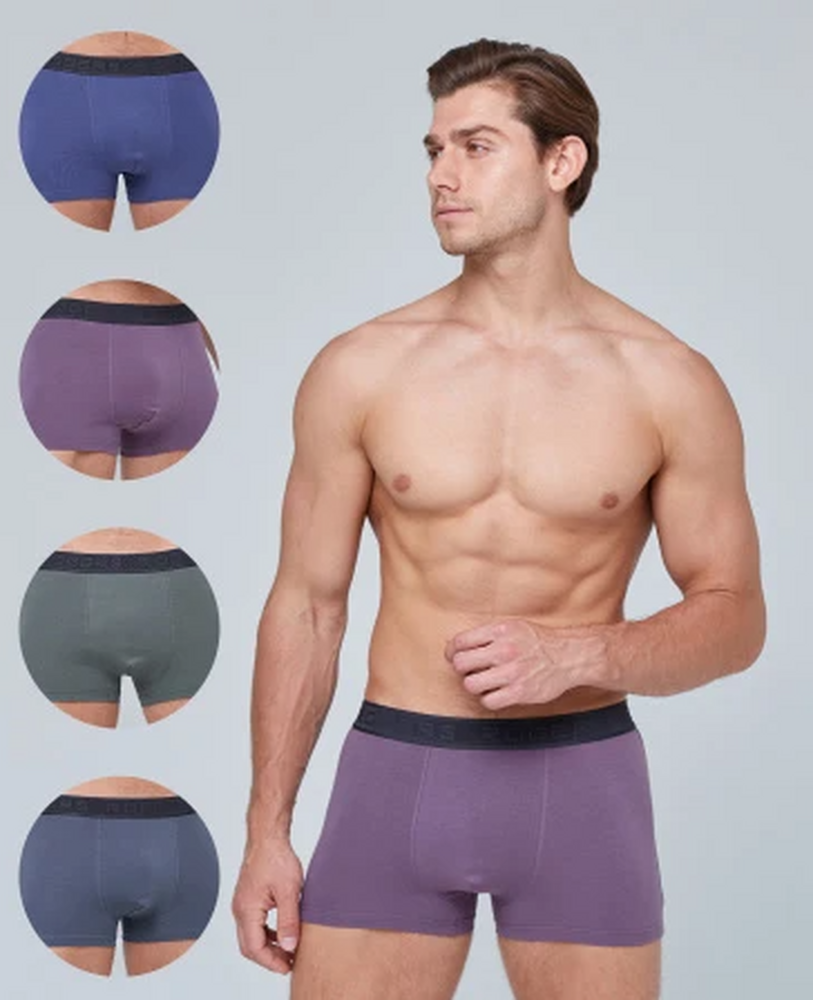 80378 Трусы-шорты мужские Роджерс