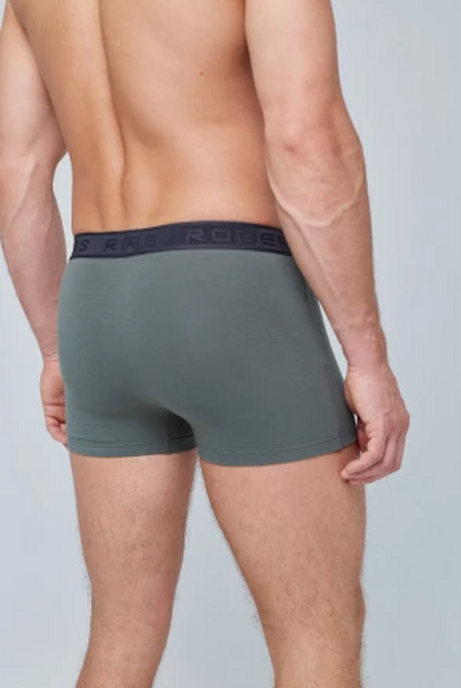 80378 Трусы-шорты мужские Роджерс