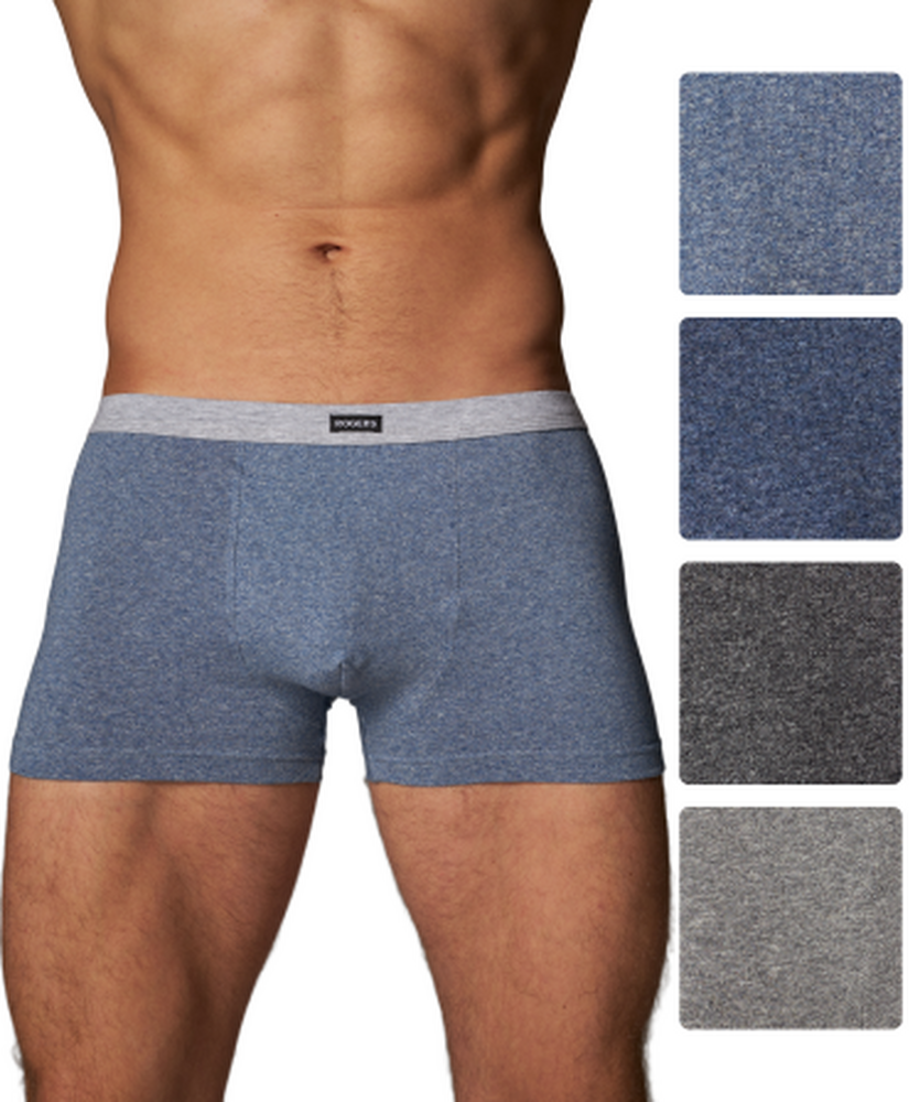 80376 Трусы-шорты мужские Роджерс