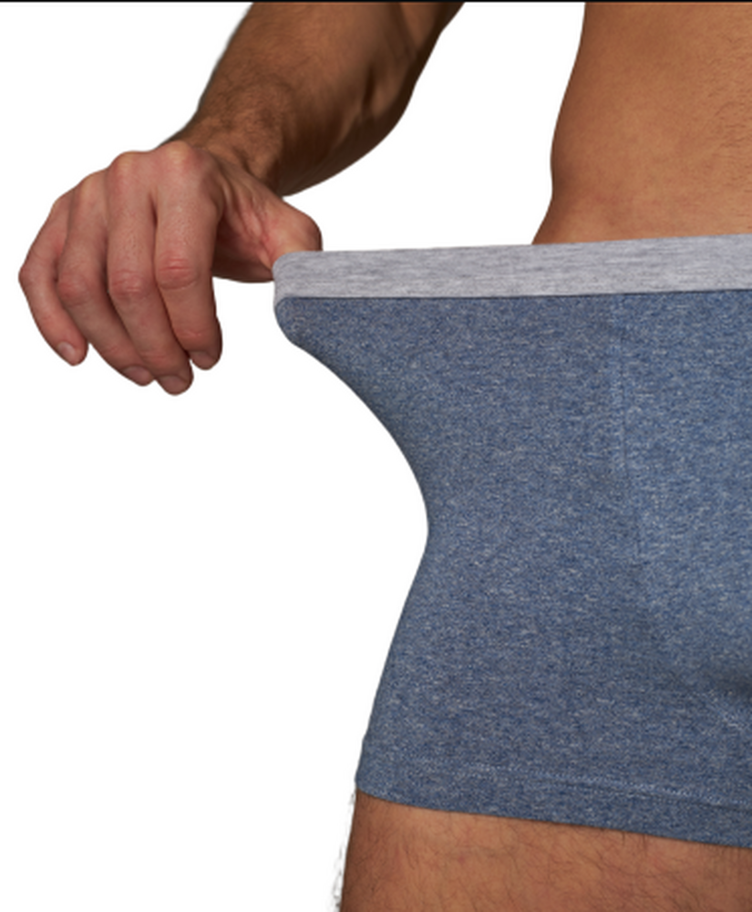 80376 Трусы-шорты мужские Роджерс