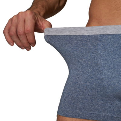 80376 Трусы-шорты мужские Роджерс