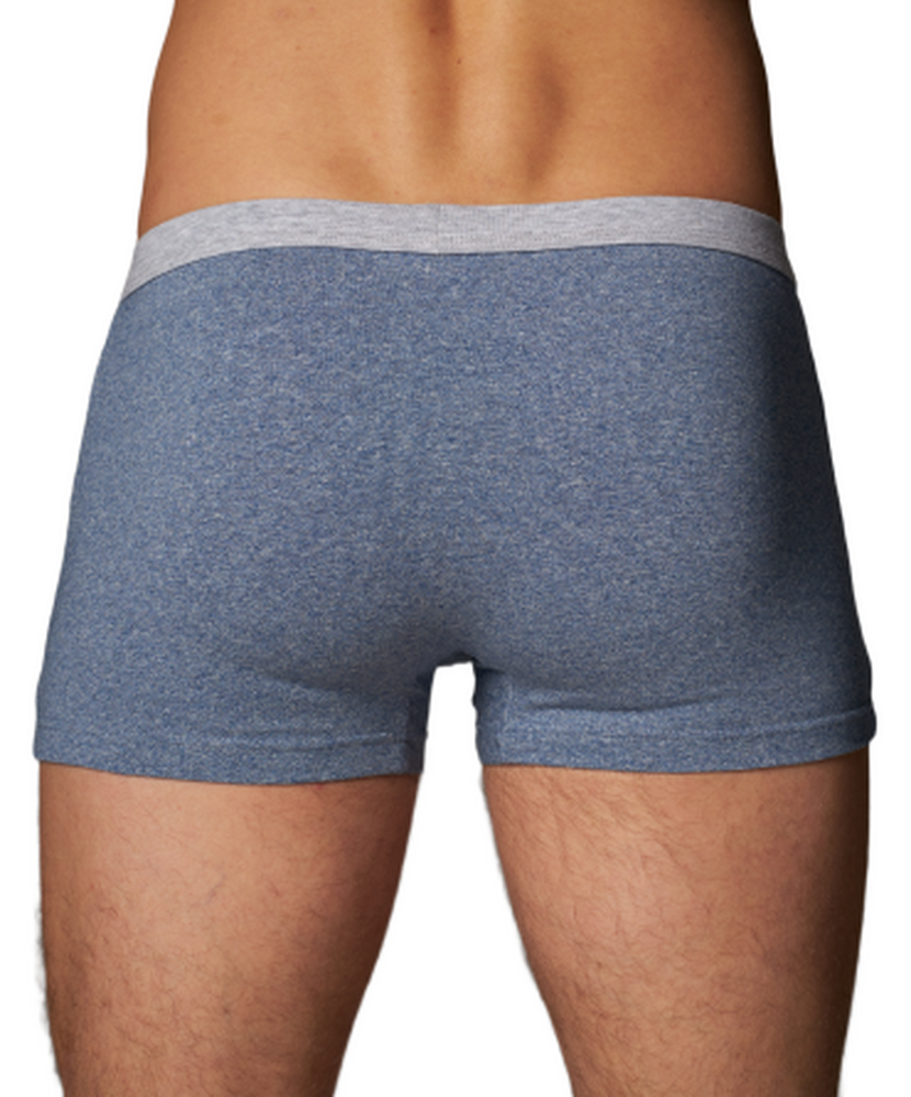 80376 Трусы-шорты мужские Роджерс